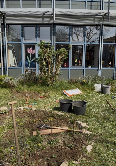 Baumscheibenprojekt der Clara Grundwald Schule